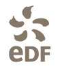 Logo EDF